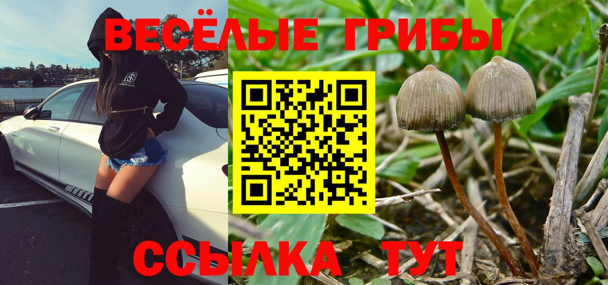 Лысьва  Псилоцибиновые грибы прущие грибы  Вход с VPN 