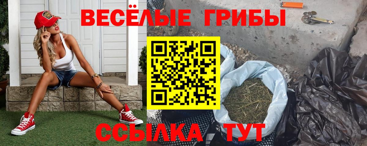 Галлюциногенные грибы Psilocybine cubensis Лысьва